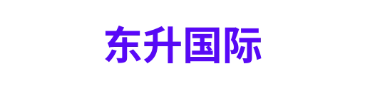 东升国际